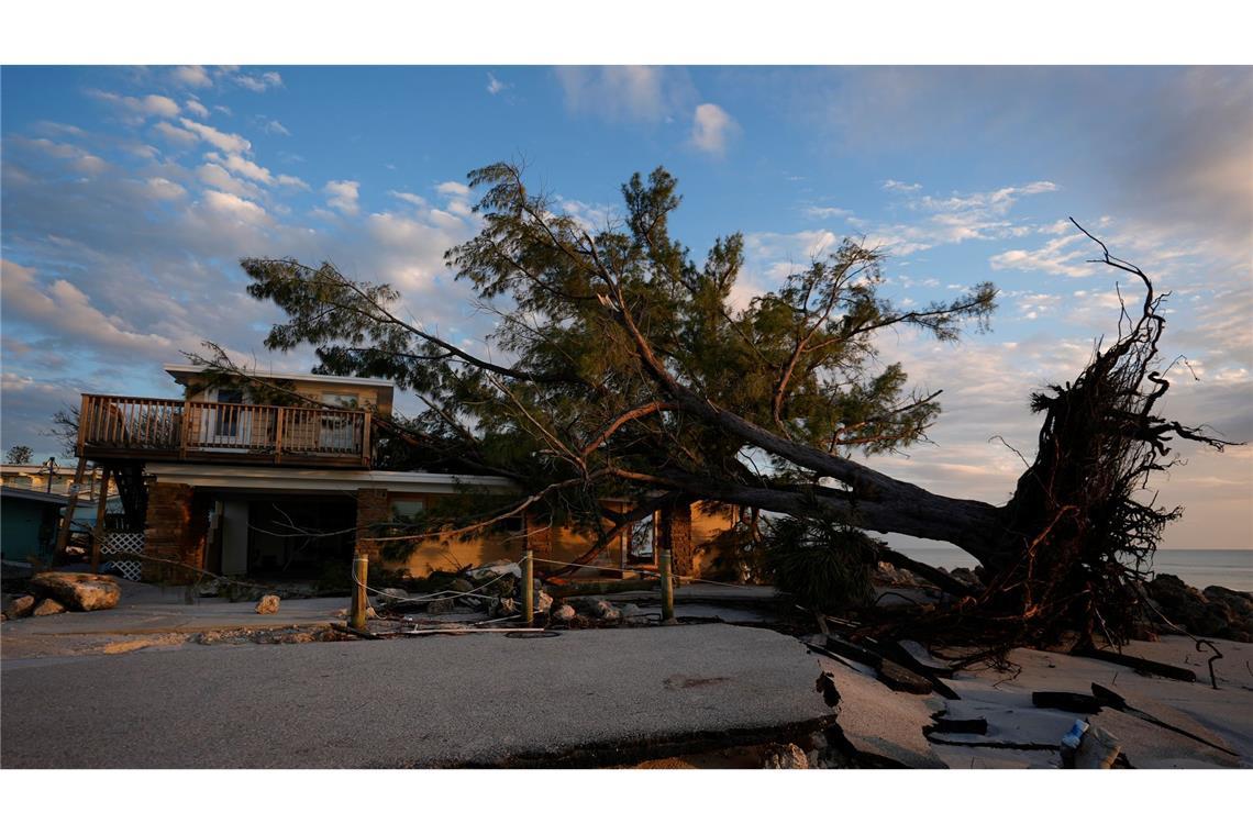 Hurrikan "Milton" hinterlässt Spur der Zerstörung: Ein umgestürzter Baum begräbt ein Haus unter sich.