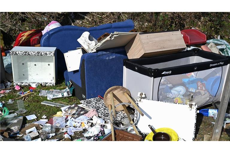 Illegal abgeladener Hausmüll liegt auf einem Grünstreifen. Helfen Videoüberwachungen gegen Müllsünder? (Symbolfoto).