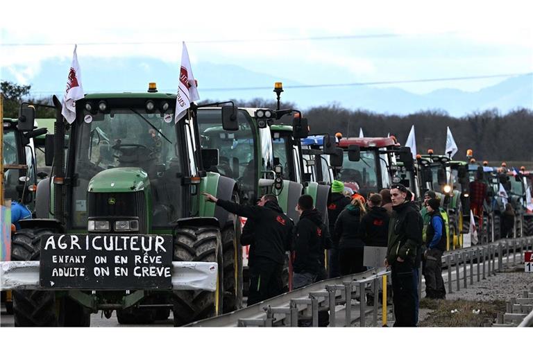 Im Elsass gehen Landwirte wegen des geplanten Freihandelsabkommens auf die Straße. (Archivbild)