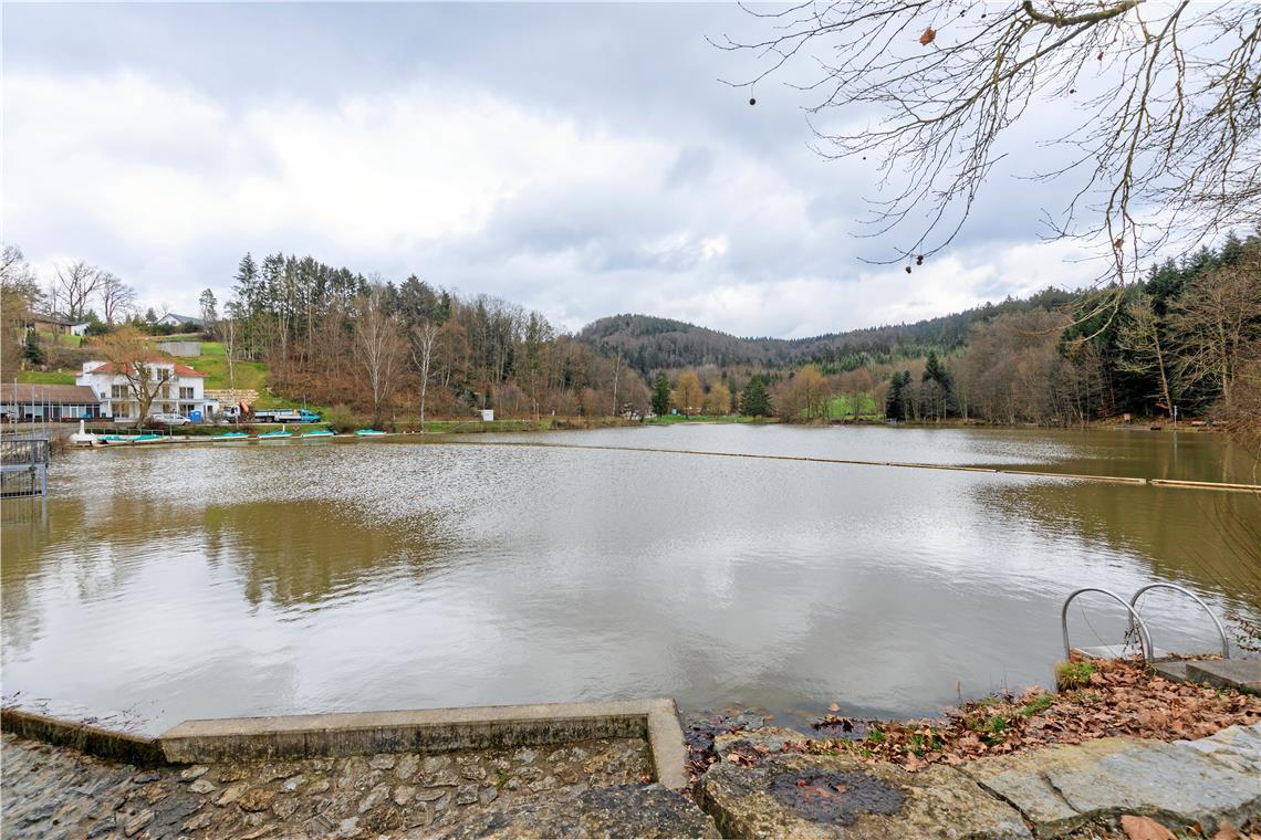 Im Fornsbacher Waldsee kann bedenkenlos gebadet werden. Archivfoto: Stefan Bossow