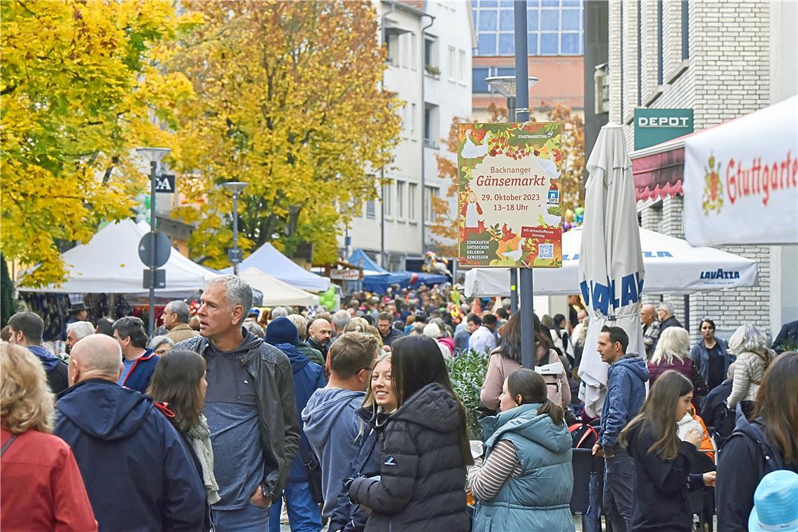 Im Gänsemarsch über den Gänsemarkt – das Backnanger Event zieht unglaublich viele Menschen aus der ganzen Region an. Fotos: Tobias Sellmaier