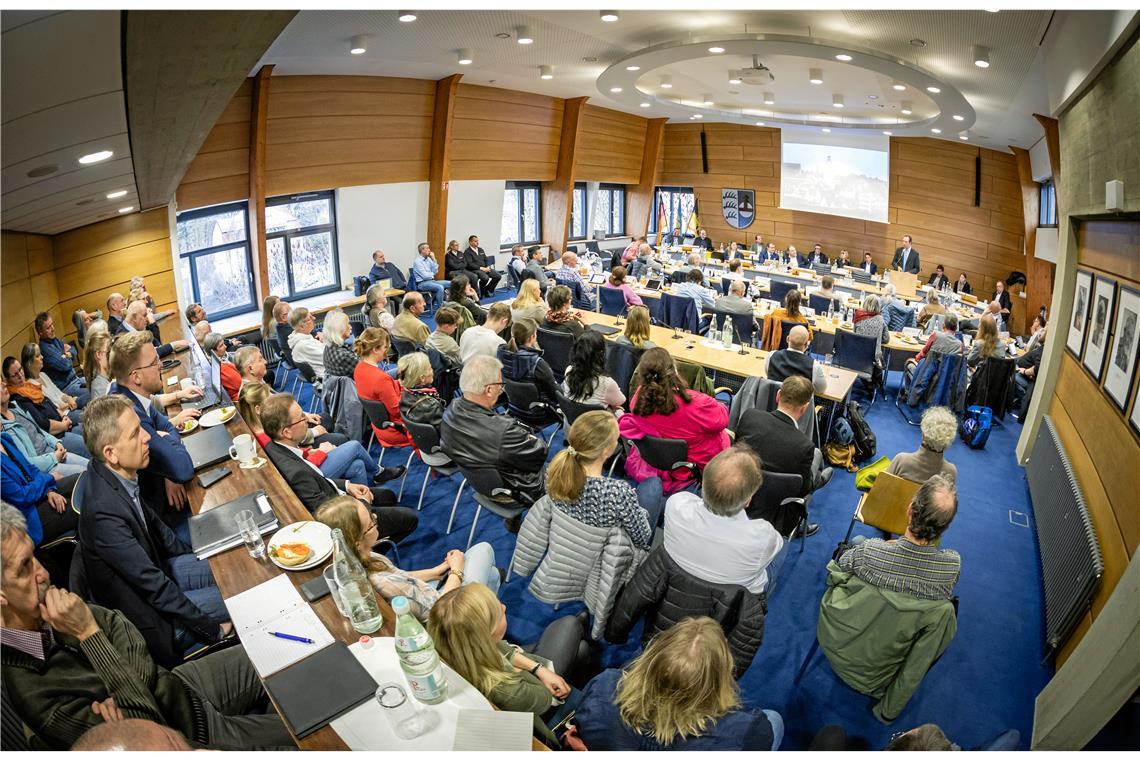 Im Gemeinderat Backnangs möchte die SPD einiges bewegen. 