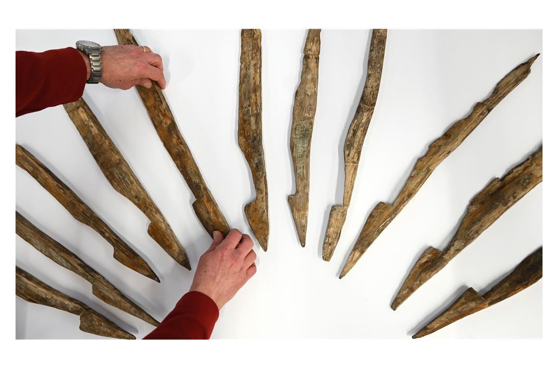 Im Leibniz-Zentrum für Archäologie in Mainz  werden die angespitzten Holzpfähle aus einem römischen Verteidigungsgraben aus dem 1. Jahrhundert n. Chr. präsentiert.