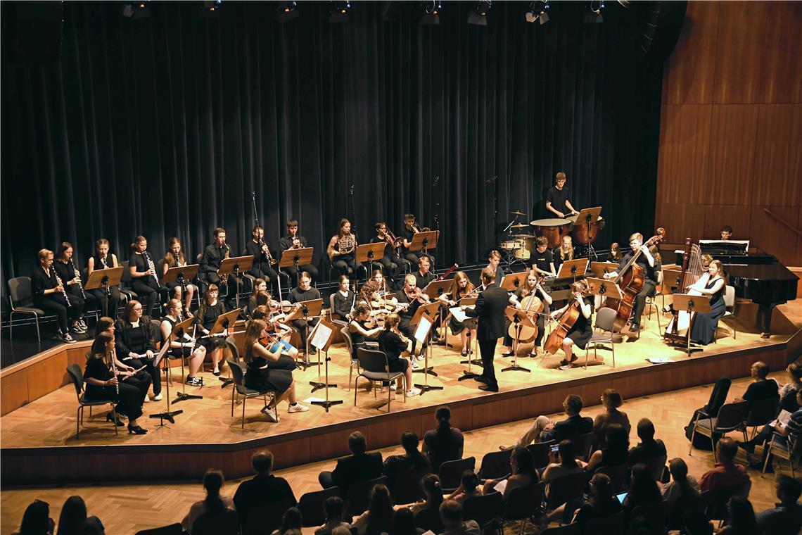 Im Orchester zu spielen, etwa bei einem Konzert im Bürgerhaus, ist eine ganz eigene Erfahrung für Musikschüler. Foto: privat