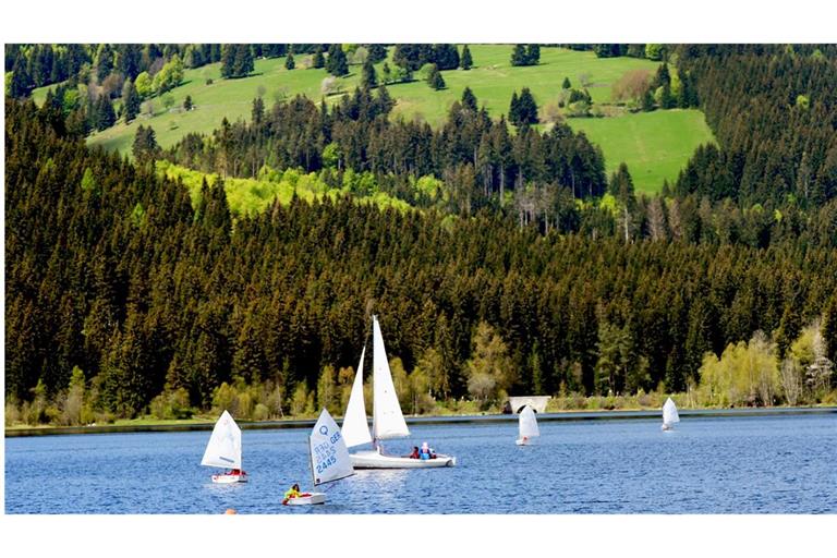 Im Schluchsee wurden Blaualgen entdeckt. (Archivbild)