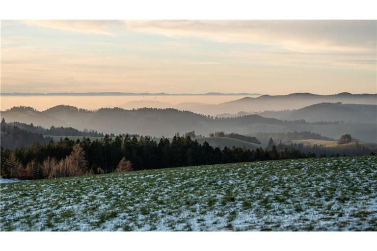 Im Schwarzwald könnte es am Wochenende schneien.