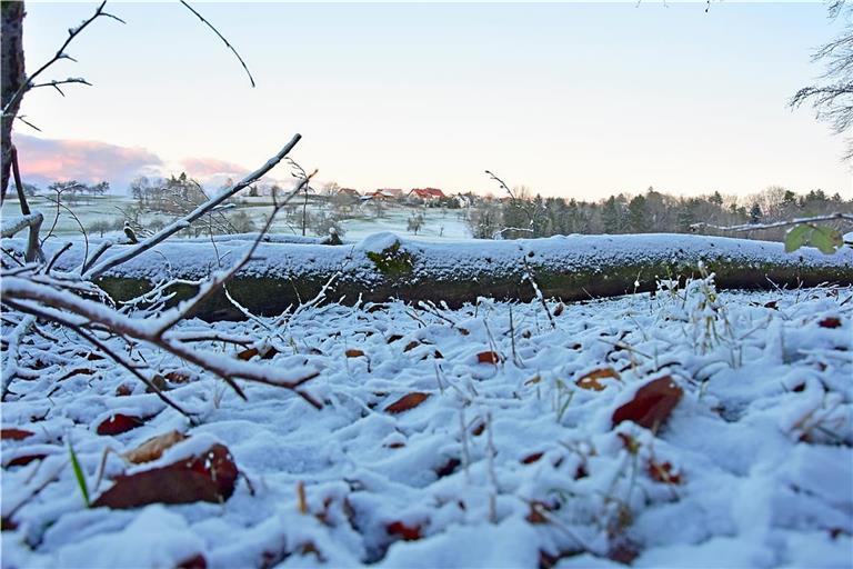 Im Wald oberhalb von Kallenberg sieht es schön winterlich aus. Foto: Tobias Sellmaier