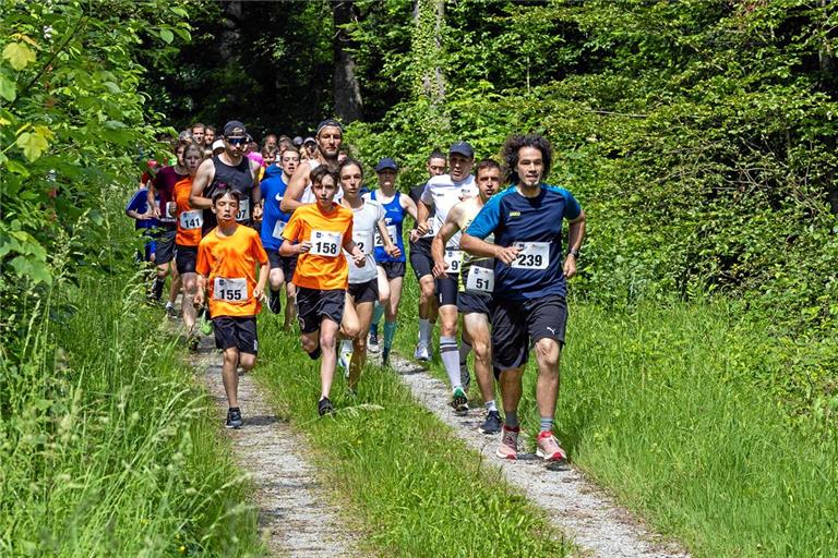 Im Wald und auf der Wiese unterwegs: Der Volkslauf in Kirchenkirnberg wird seinem Namen vollauf gerecht. Foto: Alexander Becher