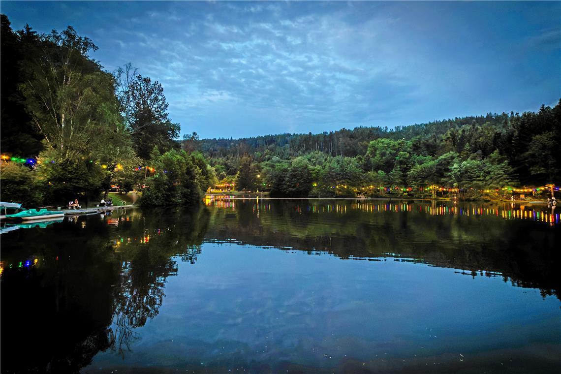 Impressionen vom Waldsee-Triathlon 2024 in Fornsbach.