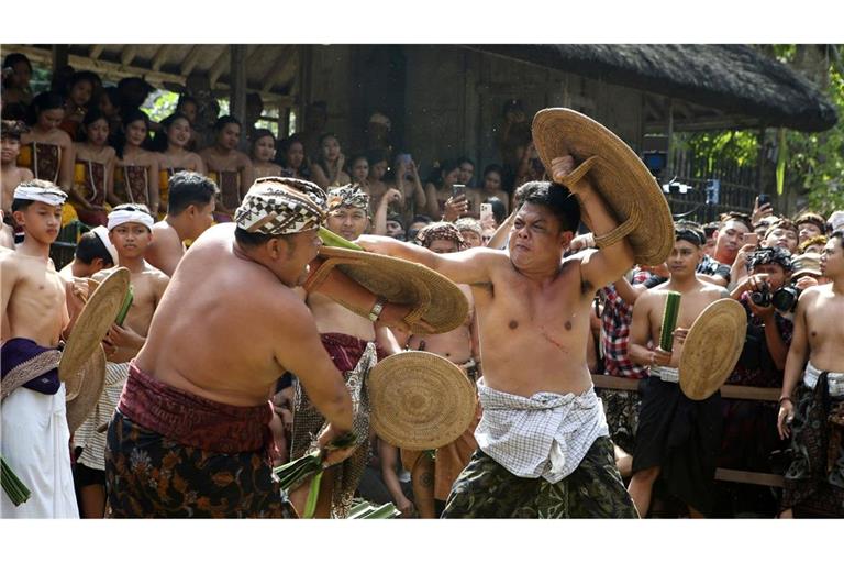 In Bali findet der rituelle Pandanus-Wettkampf "Mekare-kare" statt, bei dem Männer mit gebundenen, dornigen Pandanus und Schilden gegeneinander kämpfen.