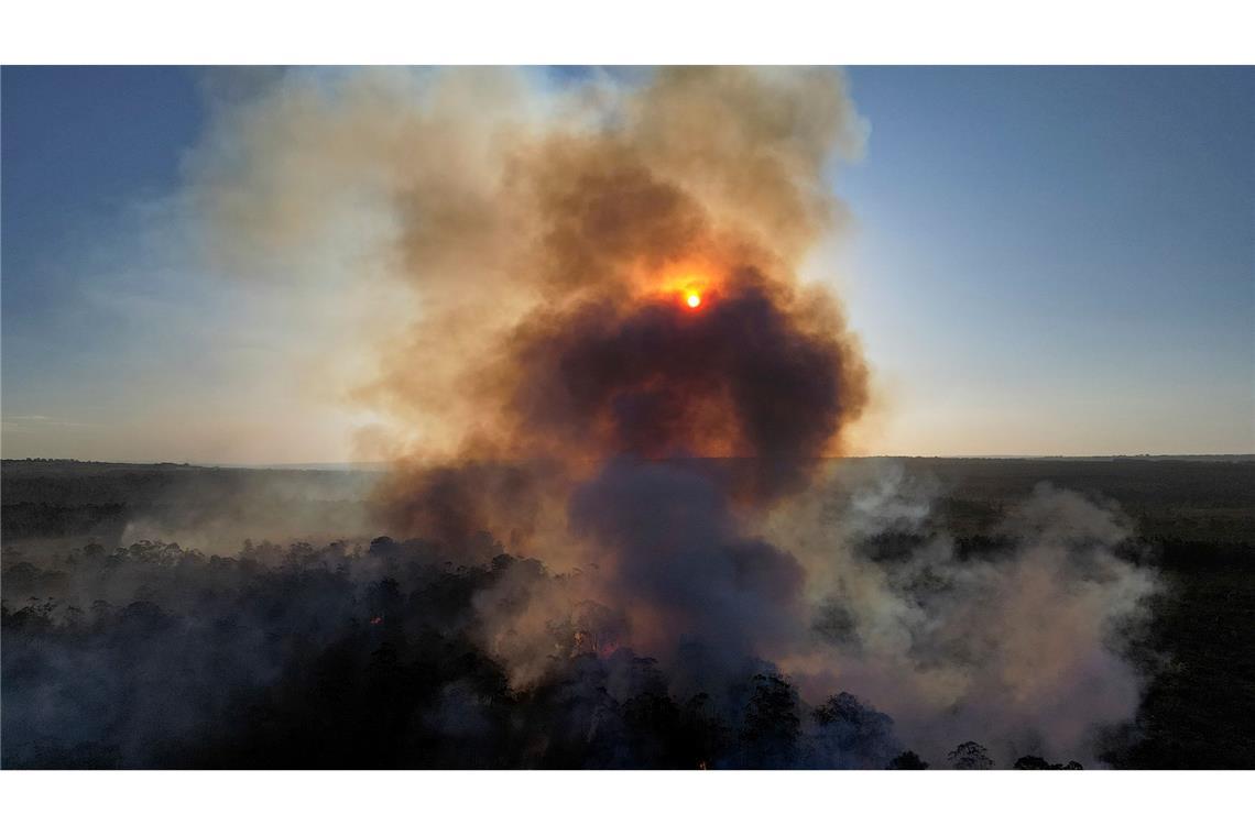 In Brasilien toben die schwersten Brände seit 14 Jahren. Archivbild