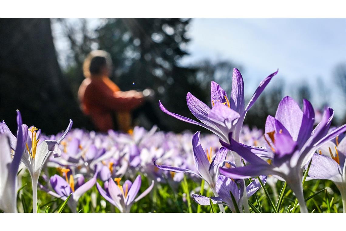 In den kommenden Tagen soll es in Deutschland bis zu 20 Grad werden.