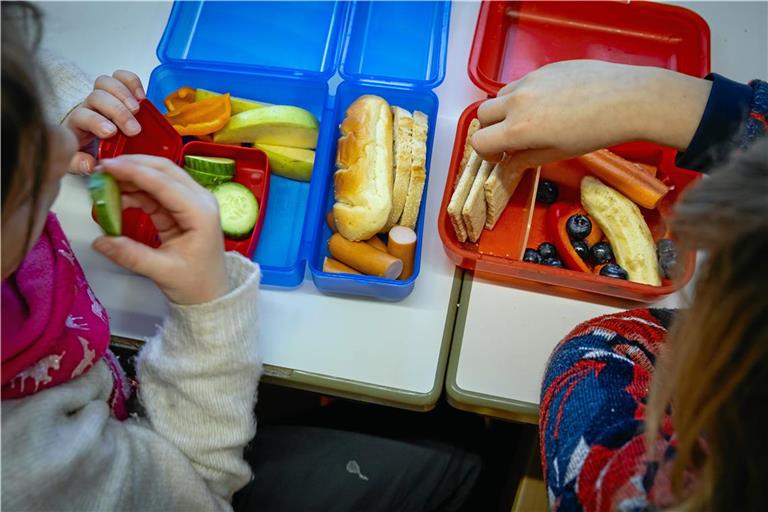 In den Vesperdosen der Kinder der Klasse 2a der Grundschule in der Taus liegt viel Obst und Gemüse. Fotos: Alexander Becher