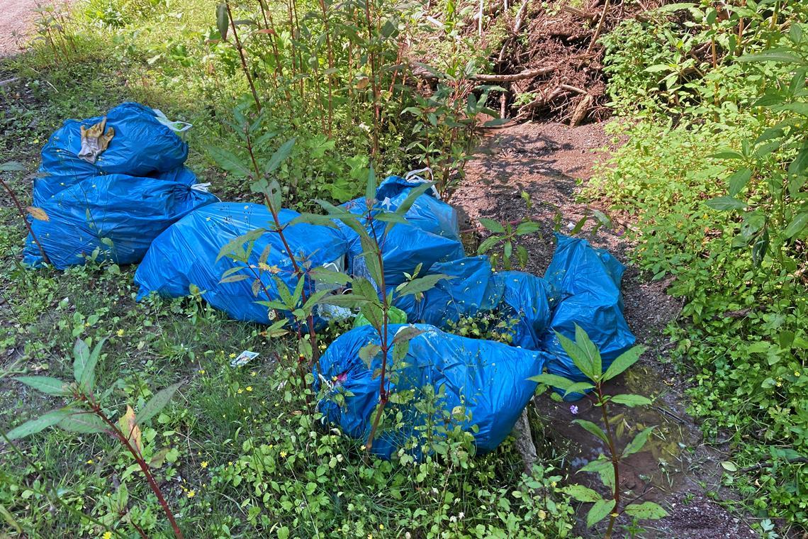 In der Franzenklinge in Murrhardt wurden Säcke voller Müll abgeladen. Fotos: privat