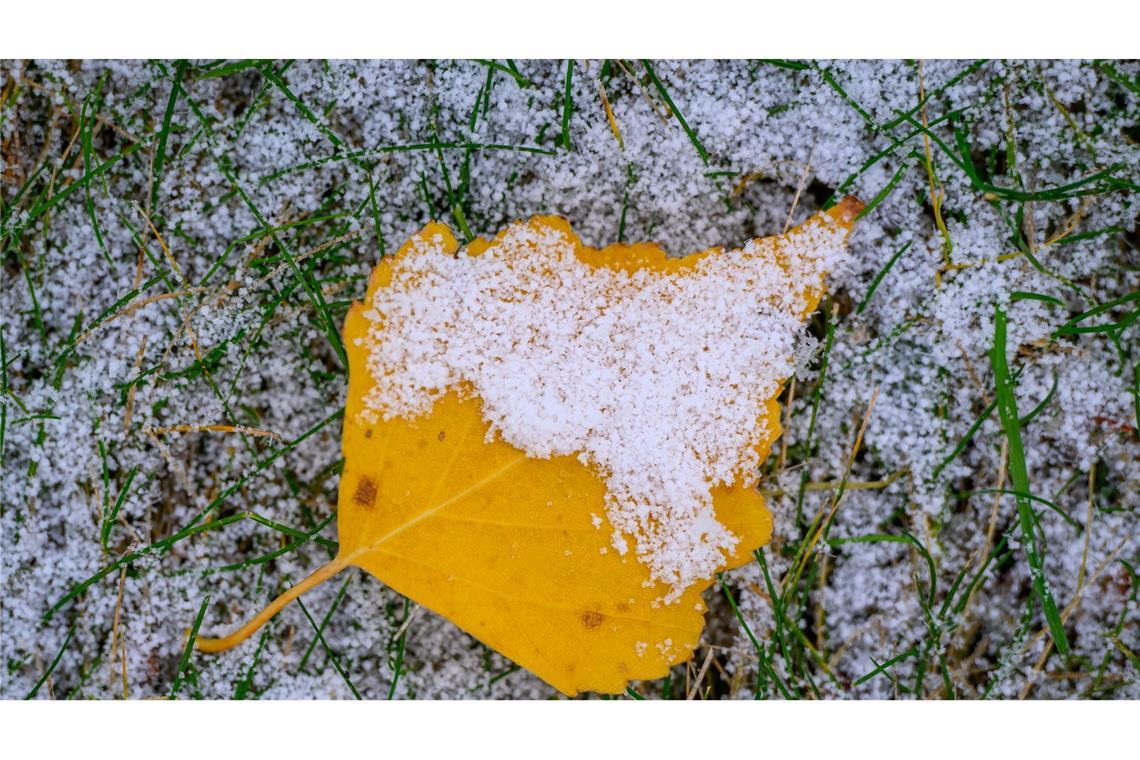 In der neuen Woche wird das Wetter winterlicher in Deutschland. (Archivbild)