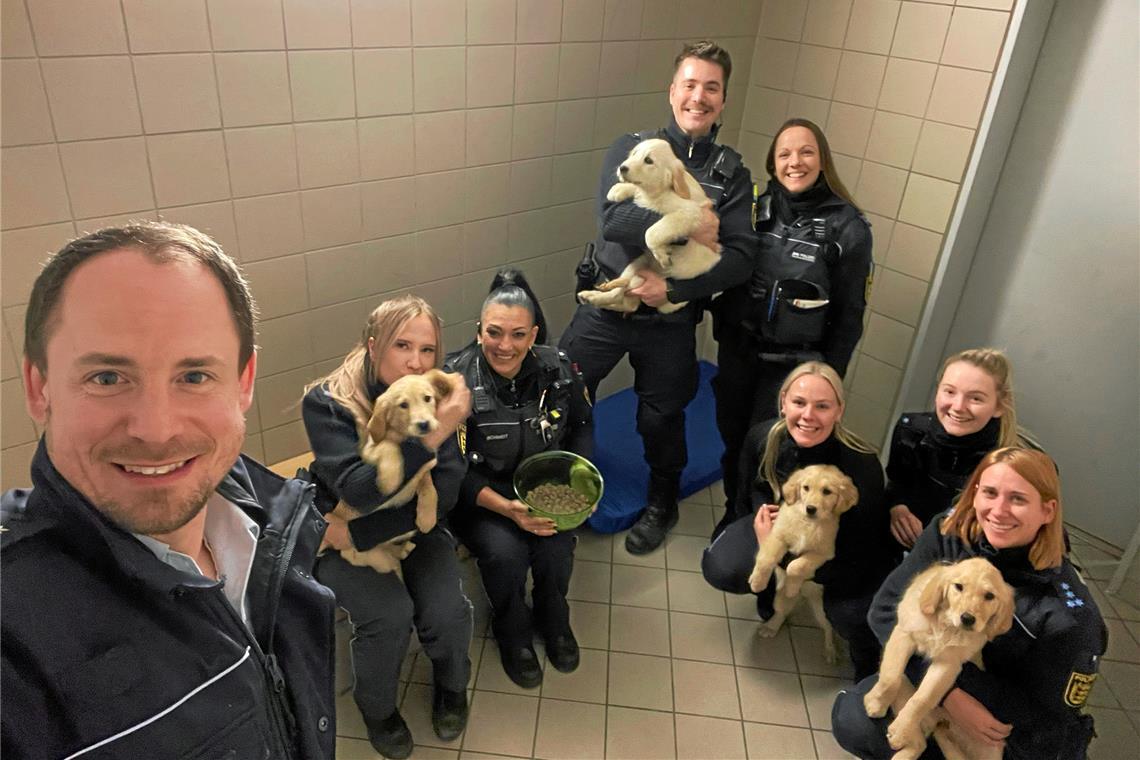 In der Zelle gab es für die Welpen eine ordentliche Portion Futter. Foto: Polizei