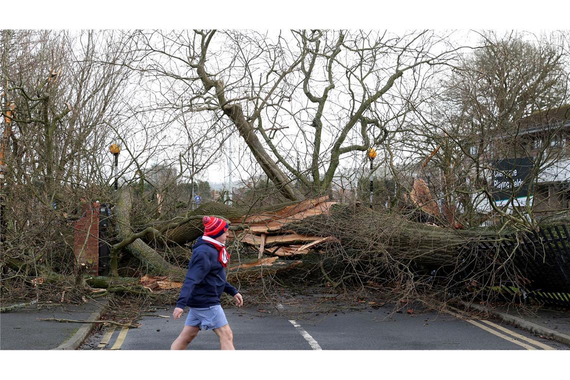 "Historisch": Sturm Éowyn wütet in Irland und Großbritannien In Irland und Teilen Großbritanniens stand das öffentliche Leben zeitweise still.