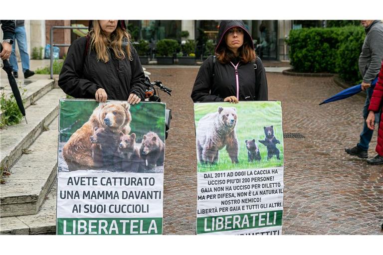 In Italien haben Umweltschützer für die Befreiung von der Bärin JJ4 demonstriert. (Archivbild)