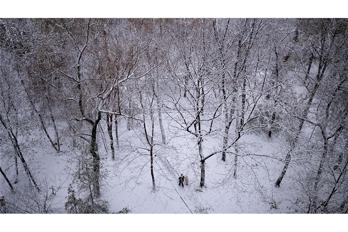 In Moskau ist der erste Schnee gefallen und eine Frau spaziert mit ihrem Hund in einer verschneiten Grünanlage zwischen kahlen Bäumen.