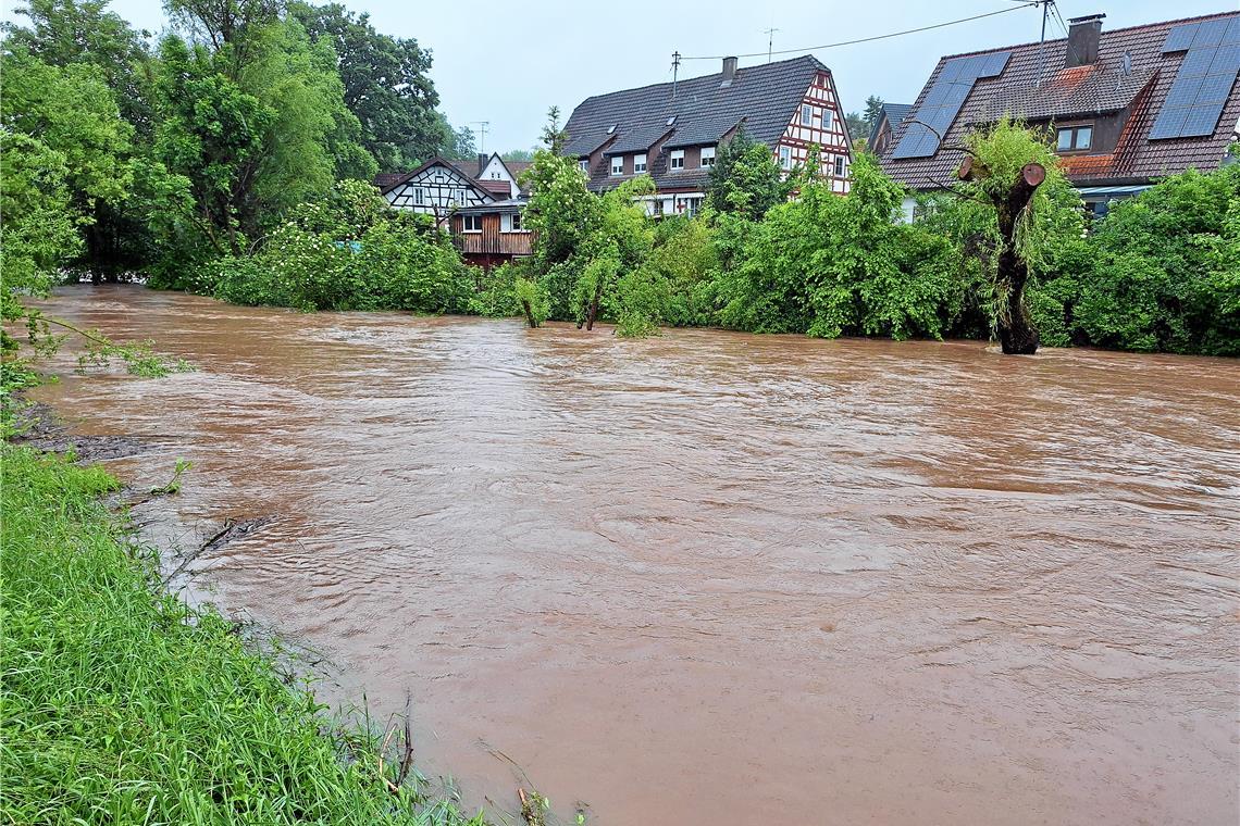 In Oppenweiler-Zell kommt die Murr bedrohlich nahe an die Bebauung heran. Foto: privat