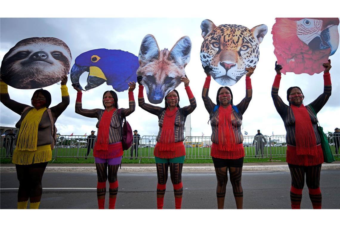 Indigene Frauen halten in Brasilien Tierbilder hoch, die die biologische Vielfalt repräsentieren sollen. Die Frauen protestieren gegen Pläne, nach denen Indigenen ein Teil ihres Landes weggenommen würde.