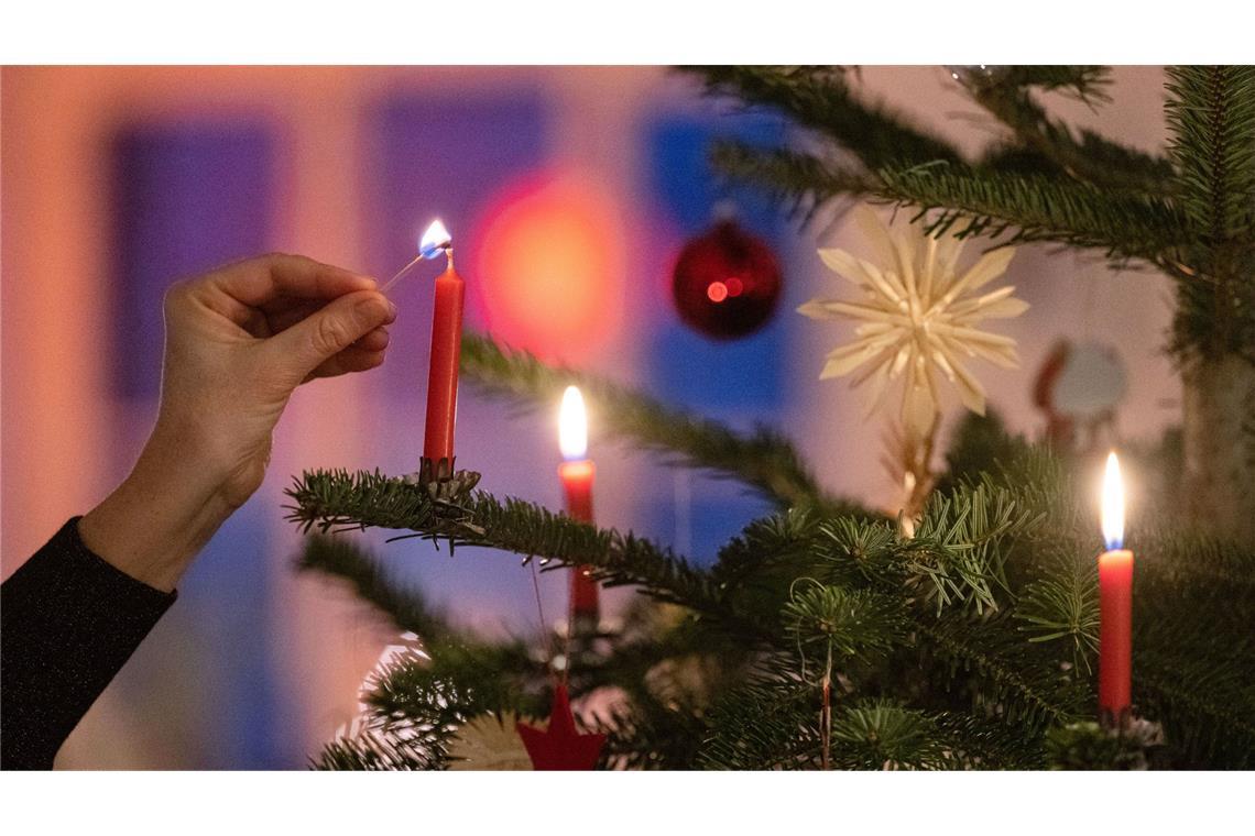 Weniger Weihnachtsbäume im Südwesten importiert