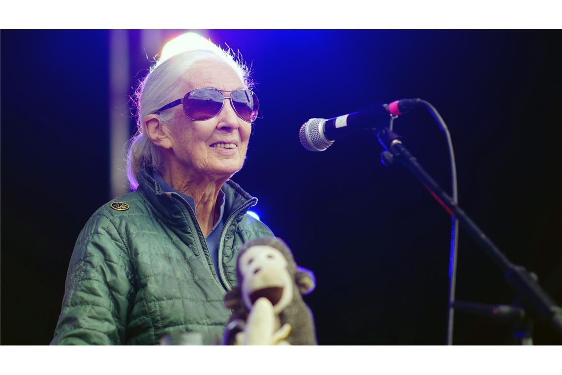 Jane Goodall auf der Greenpeace-Bühne beim Glastonbury Festival in Worthy Farm.