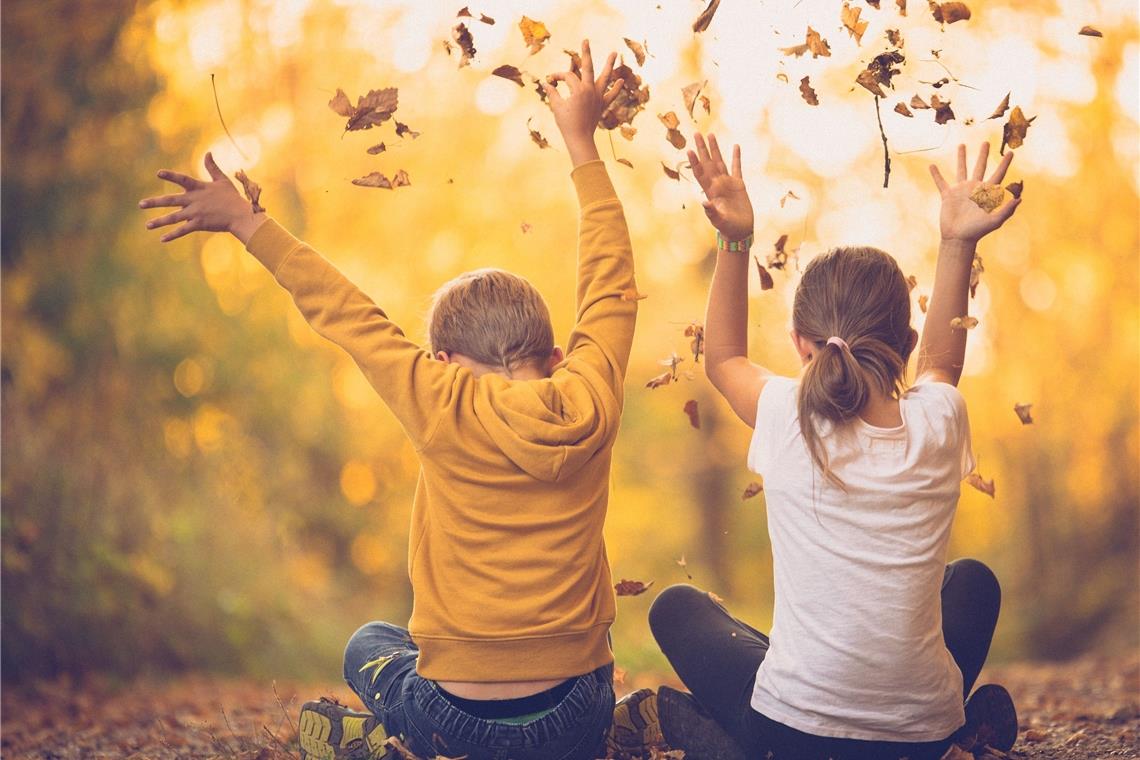 Jede Jahreszeit bietet besondere fotografische Momente. Spielen mit dem Thema Herbstwald ist derzeit besonders angesagt. Foto: Blende/Udo Krauß