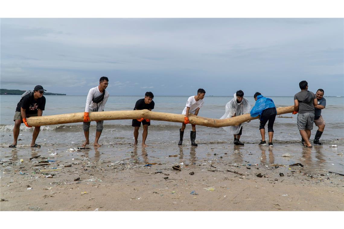 Jetzt wird aufgeräumt: Freiwillige entfernen einen Baumstamm, der von den saisonalen Monsunfluten an Land gespült wurde, während einer Strandsäuberungsaktion am Kedonganan Strand auf der Ferieninsel Bali.