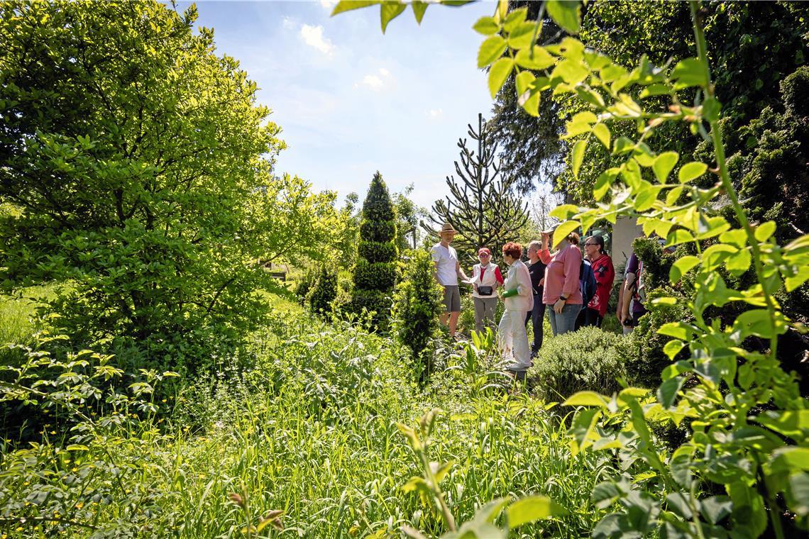 Joachim Jung (links) führt durch den Garten der Familie in Unterweissach.