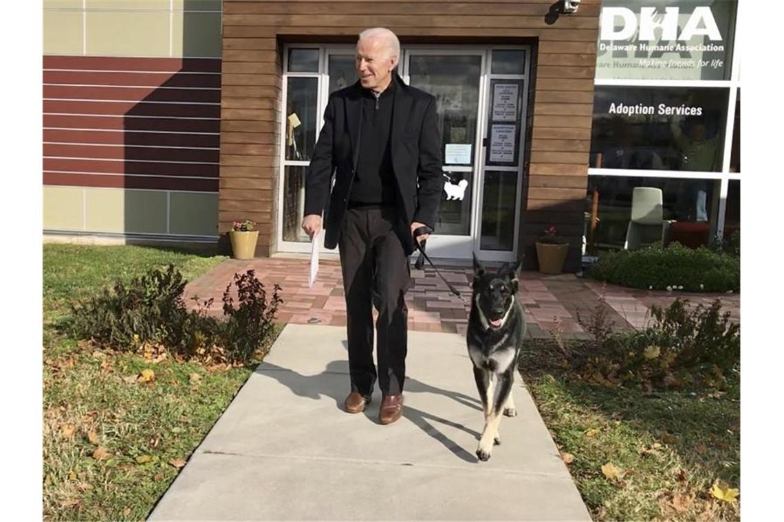 Biden nominiert Ex-Fed-Chefin Yellen als US-Finanzministerin Joe Biden mit seinem Deutschen Schäferhund „Major“. Foto: Stephanie Carter/Delaware Humane Association/dpa