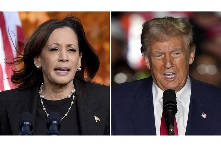 Kamala Harris oder Donald Trump : Wen wählen die Amerikaner am 5. November zu ihrem 47. Präsidenten?