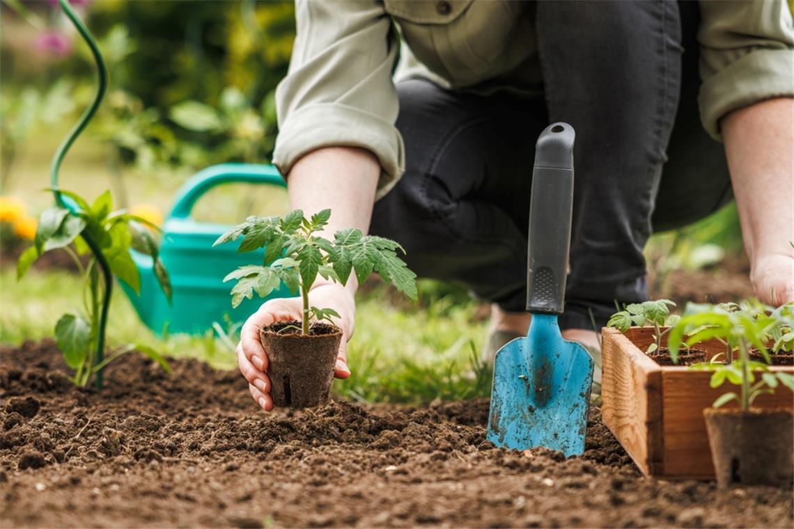 Kann man den freien Tag zum Arbeiten im Garten nutzen?