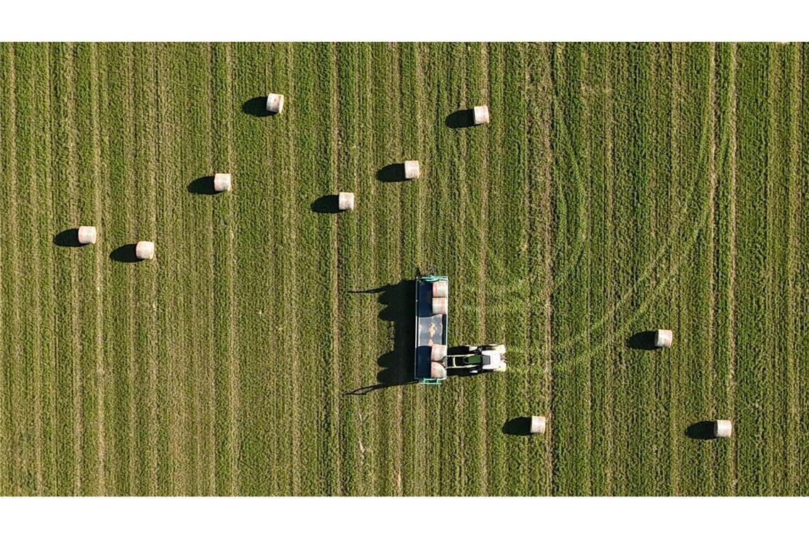 Kein Hitzefrei für Landwirte in Sachsen