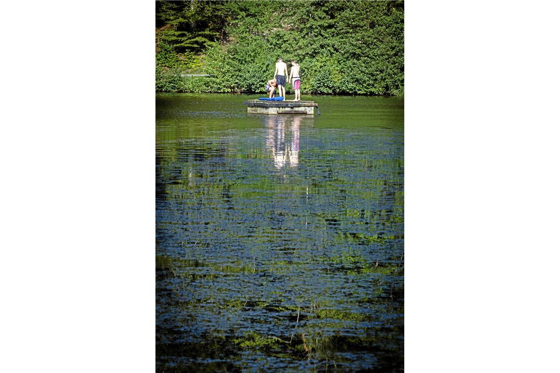 Kleine Schwimmpause auf der Insel am Ebnisee.