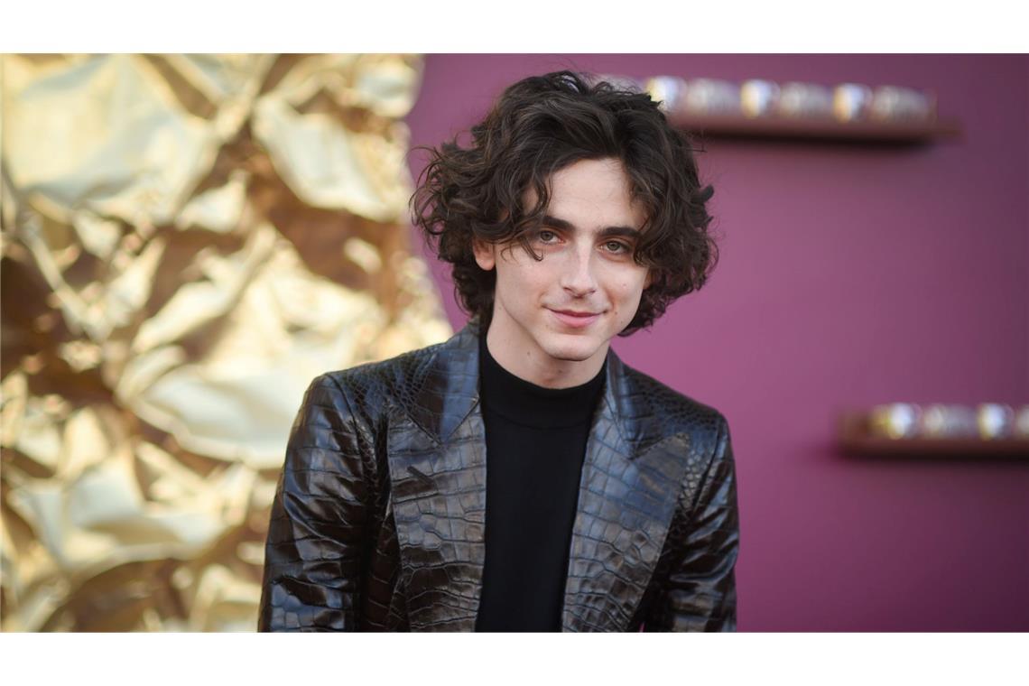 Kommt Timothée Chalamet mit dem Biopic zu Bob Dylan zur Berlinale? (Archivbild)