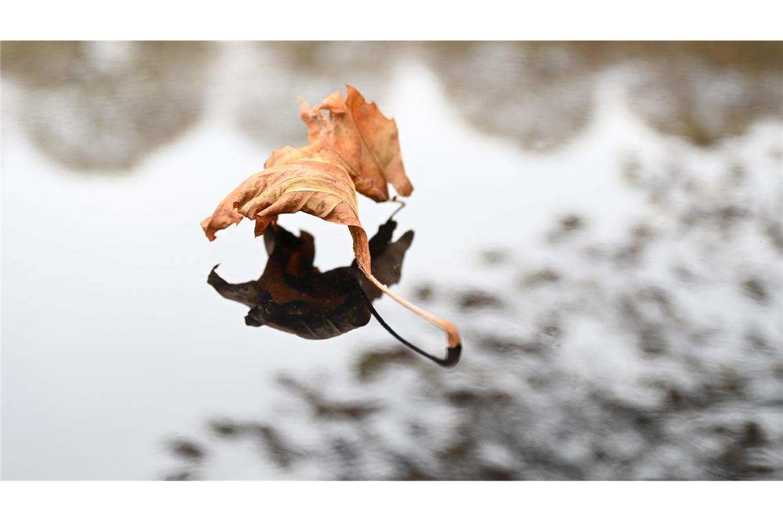 Kühle Temperaturen im Herbst: Ein Blatt liegt auf einem Autodach.