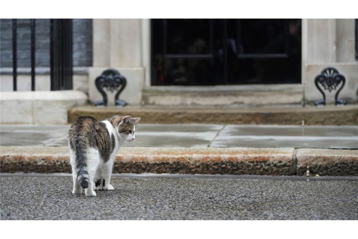 Larry gilt als heimlicher Herrscher der Downing Street.