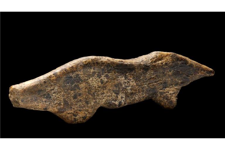 Laut Conard wurden in diesen eiszeitlichen Höhlen rund 120 Fragmente aus Mammutelfenbein gefunden. Die meisten von ihnen konnten bisher nicht gedeutet werden. Doch mit dem diesjährigen „Fund des Jahres“ sind es 34 Artefakte, die eindeutig als Tiere definieren werden können.
