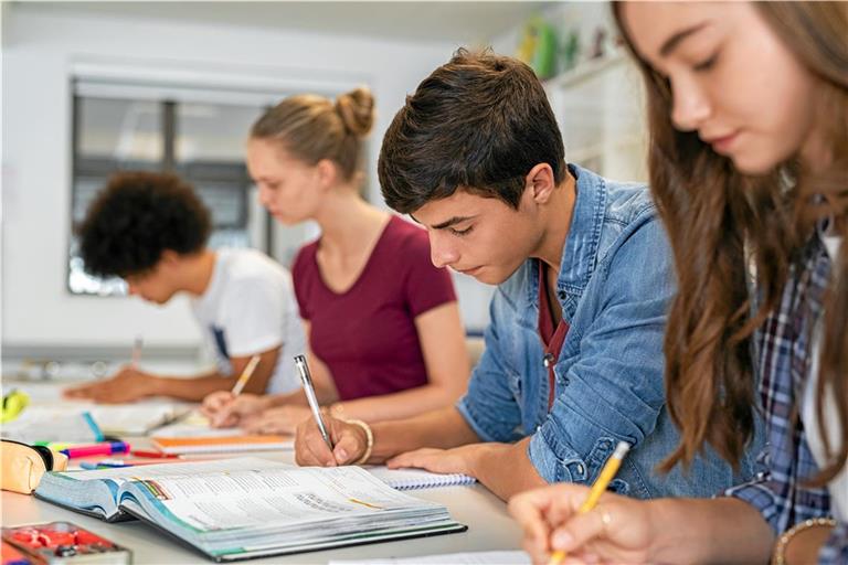 Laut Pisa-Studie fehlen den Schülern grundlegende Kenntnisse in Fächern wie Mathe und Deutsch. Foto: AdobeStock/Rido