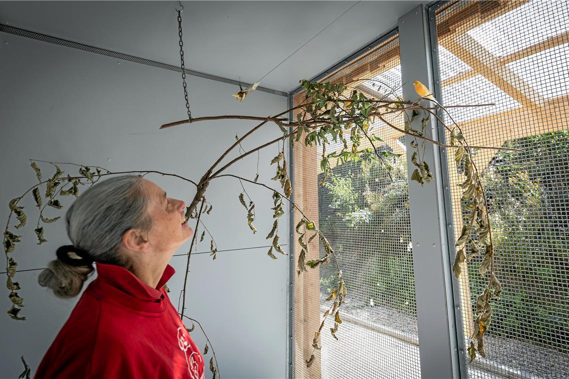 Leiterin Marion Bentrup freut sich sehr über die Erweiterung. Die Volieren haben einen Innen- und einen Außenbereich. Fotos: Alexander Becher 