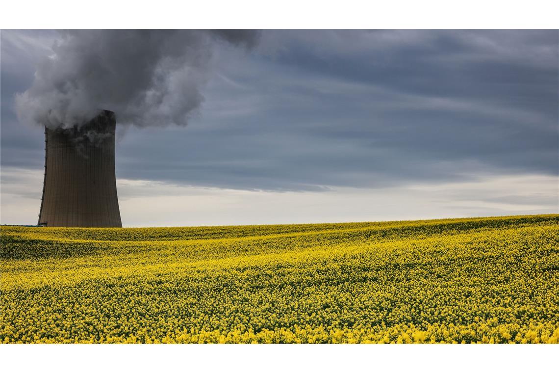 Leuchtend gelb blühende Nutzpflanze: Ein Rapsfeld vor dem Kühlturm des RWE Braunkohlekraftwerks Neurath II.