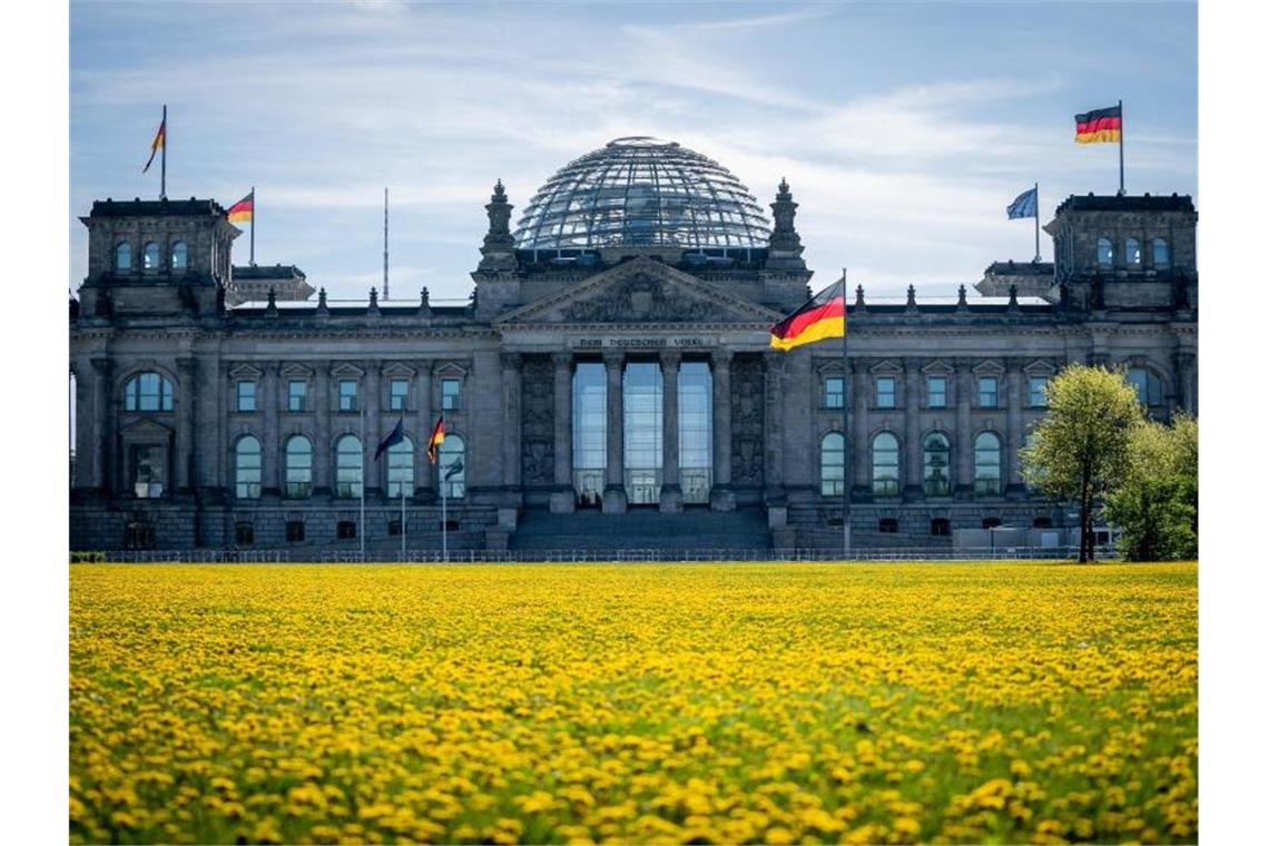 DGB fordert: Regierung muss möglichst viele Gesetze umsetzen Löwenzahn blüht auf der Wiese vor dem Reichstagsgebäude in der Morgensonne. (Archivbild). Foto: Kay Nietfeld/dpa