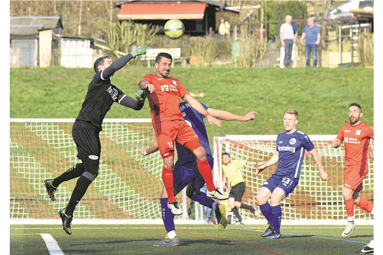 Mario Marinic (rotes Trikot) unterlag mit der TSG trotz viel Einsatz mit 2:3.Foto: T. Sellmaier