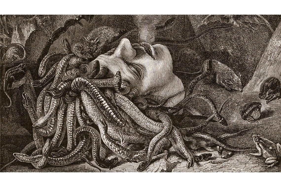 Medusa: Eine der in der griechischen Mythologie beschriebenen Gorgonen, Tochter der Meeresgottheiten Phorkys und Keto, Schwester von Stheno und Euryale. Als einzige der drei Gorgonen ist sie sterblich. Der Held Perseus schlug ihr das Schlangenhaupt ab.