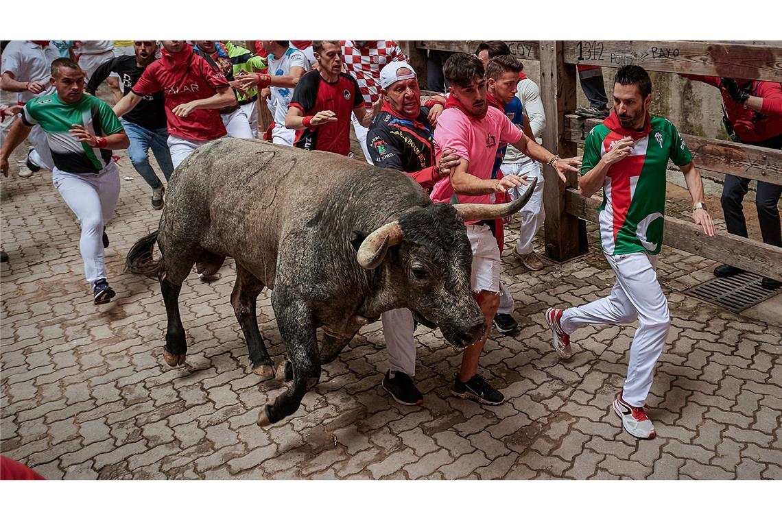 Mehrere junge Männer laufen vor einem Stier während des siebten Tages des Stiertreibens bei den San Fermín Fiestas durch die Straßen des Ortes.