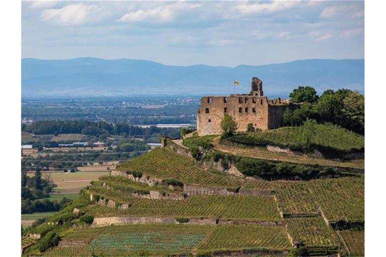 Menschen stehen auf der Ruine der Staufener Burg. Foto: Philipp von Ditfurth/dpa/Archivbild