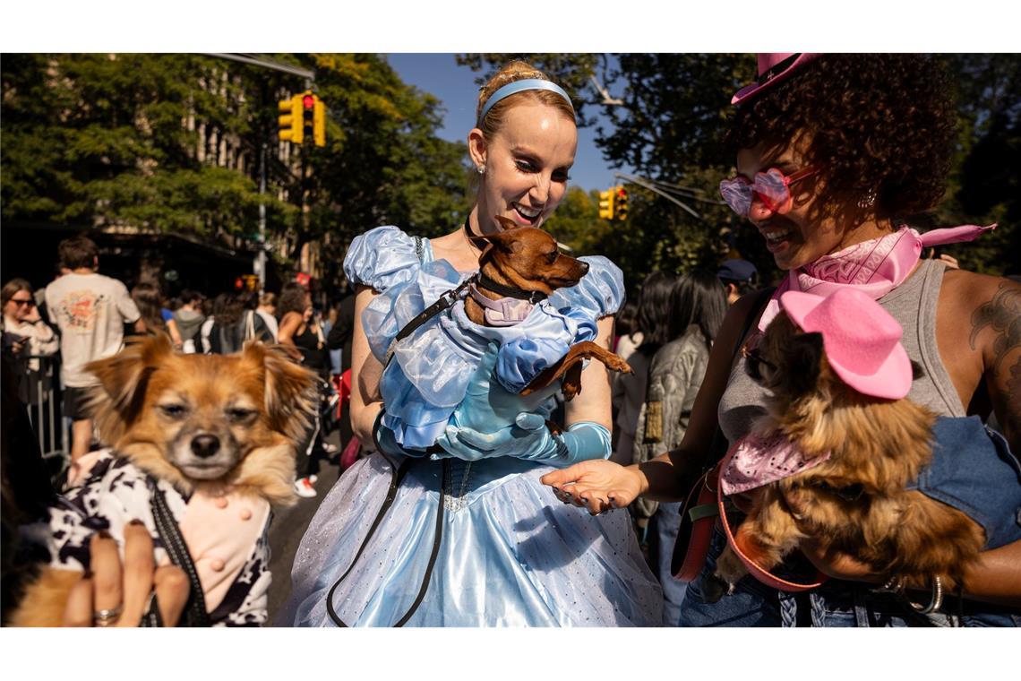 Menschen und ihre Hunde in Kostümen nehmen an der 34. jährlichen Tompkins Square Halloween Dog Parade teil.