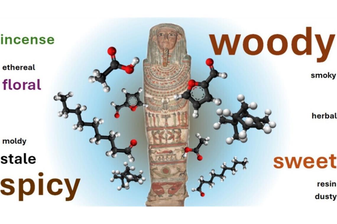 Menschliche „Schnüffler“ haben die Gerüche der Mumien mit Blick etwa darauf untersucht, wie intensiv und angenehm sie waren.