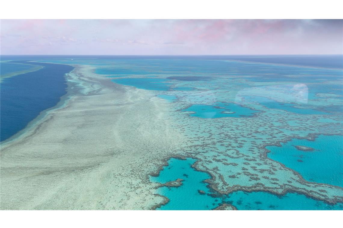 Mit dem Anstieg der Wassertemperaturen durch die globale Erderwärmung steigt auch das Risiko von Massenbleichen und Korallensterben in Australiens Naturwunder.